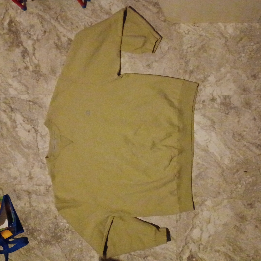 Champion olive green sweatshirt
